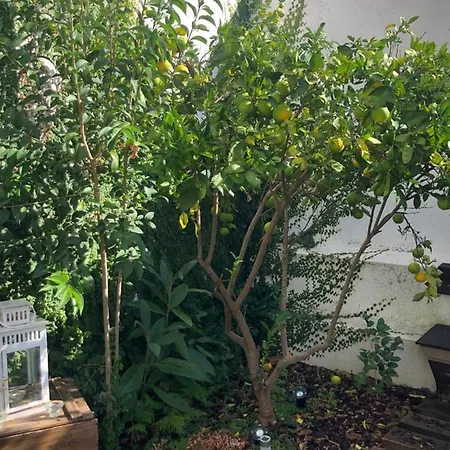 Apartment Garden Lisbon