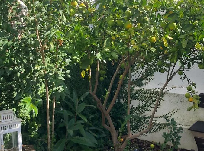 شقة Garden Lisboa